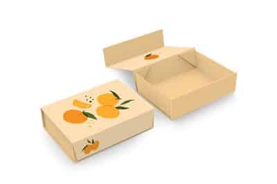 Collapsible Rigid Box Design and Artwork