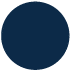 Pantone 295 C