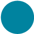 Pantone 3135 C
