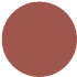 Pantone 484 U