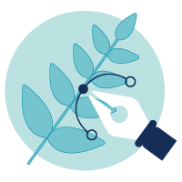 Vector graphics