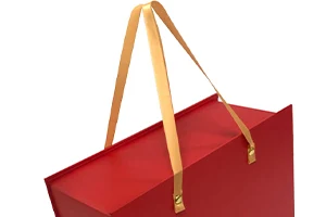 Carrying Handle