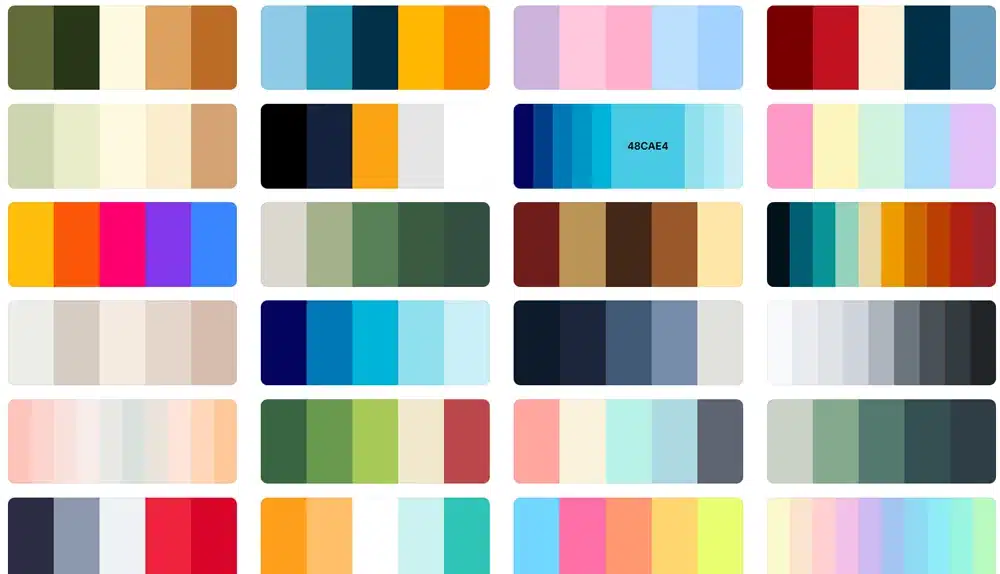 colors swatch
