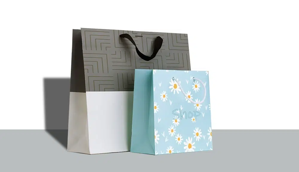 Custom Printed paper bags