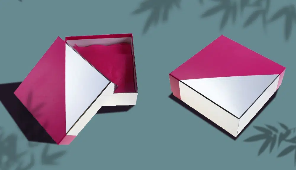 custom Telescope Rigid Boxes