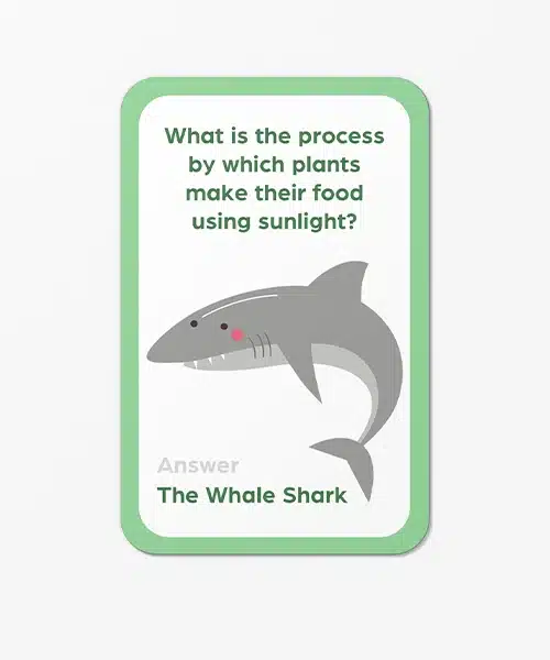 Educational Trivia Card Game