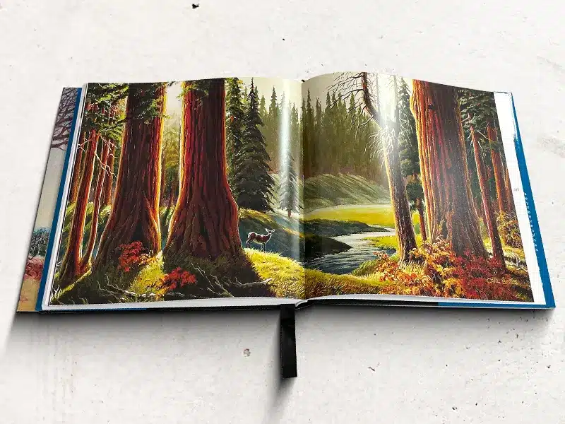 Full-Page Illustrated Art Books