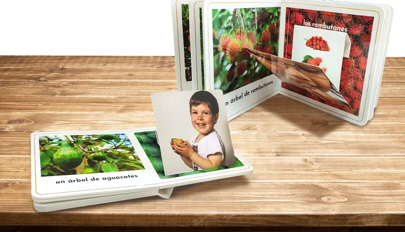 How to design an interactive children's board book