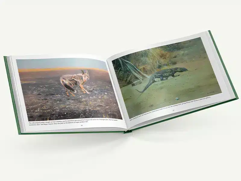 Landscape Art Book Printing