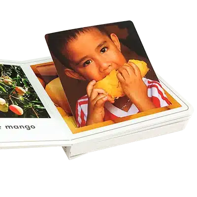 Movable Book