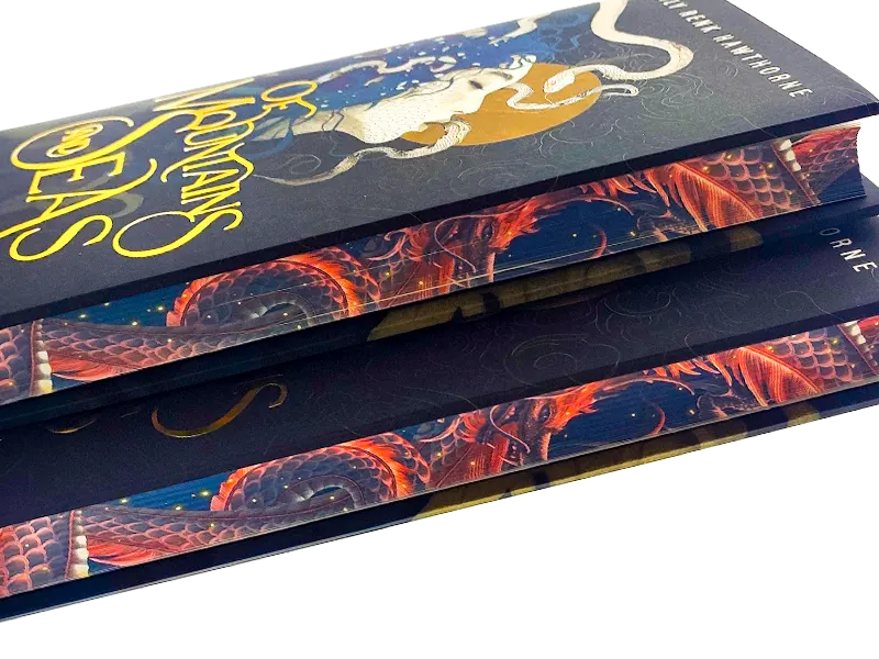 Painted Edges Novel Book