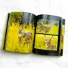 Photography Book Printing Service