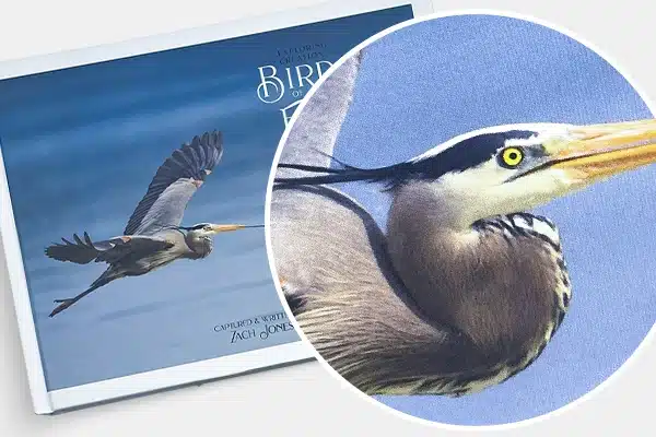Standard Paper Cover